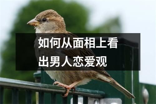 如何从面相上看出男人恋爱观
