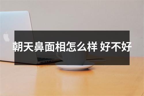 朝天鼻面相怎么样好不好