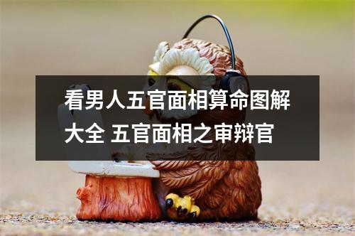 看男人五官面相算命图解大全五官面相之审辩官
