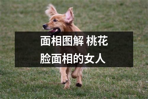 面相图解桃花脸面相的女人