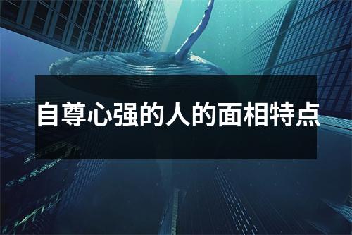 自尊心强的人的面相特点