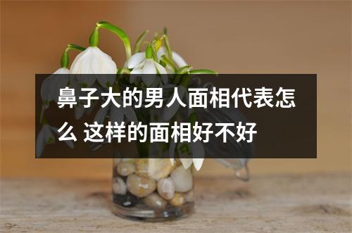 <h3>鼻子大的男人面相代表怎么这样的面相好不好