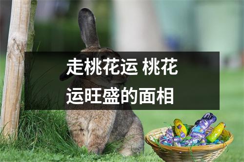 走桃花运桃花运旺盛的面相