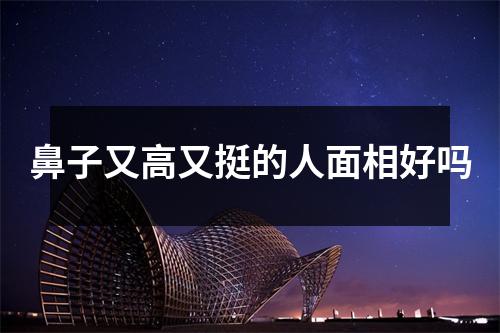 鼻子又高又挺的人面相好吗
