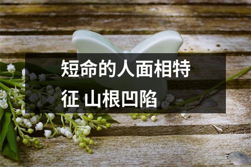 <h3>短命的人面相特征山根凹陷