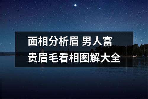 面相分析眉男人富贵眉毛看相图解大全