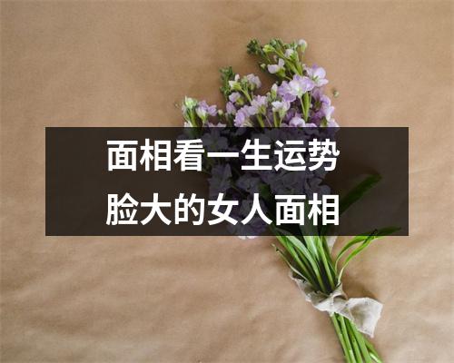 <h3>面相看一生运势脸大的女人面相