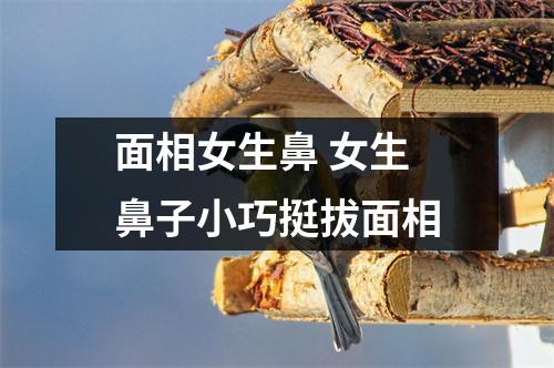 面相女生鼻女生鼻子小巧挺拔面相