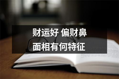 <h3>财运好偏财鼻面相有何特征