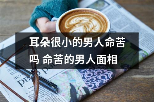 耳朵很小的男人命苦吗命苦的男人面相