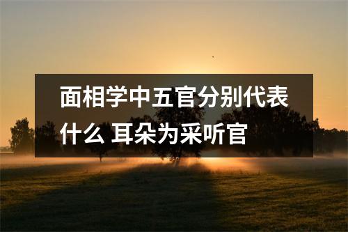 <h3>面相学中五官分别代表什么耳朵为采听官