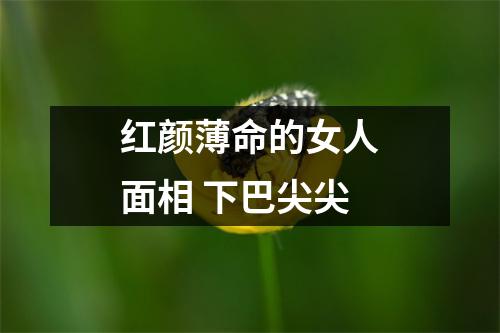 <h3>红颜薄命的女人面相下巴尖尖