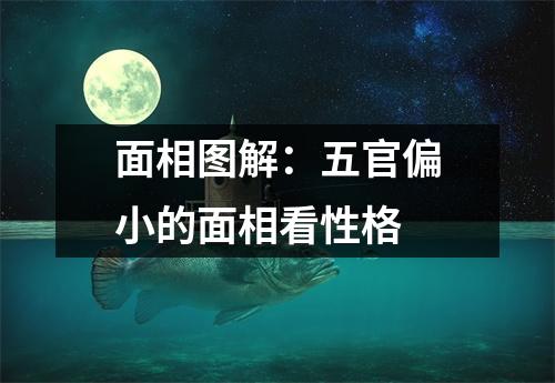 <h3>面相图解：五官偏小的面相看性格