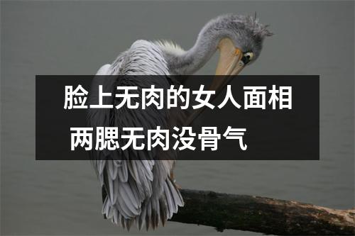<h3>脸上无肉的女人面相两腮无肉没骨气