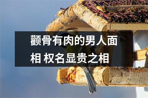 颧骨有肉的男人面相权名显贵之相