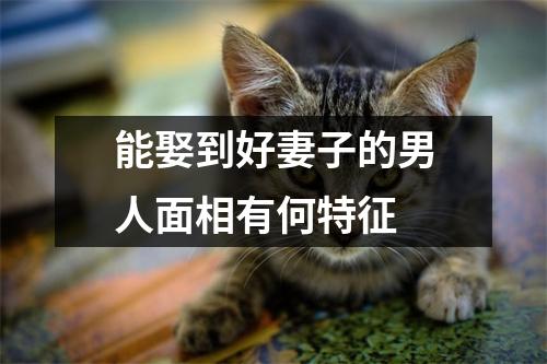 <h3>能娶到好妻子的男人面相有何特征