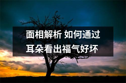 面相解析如何通过耳朵看出福气好坏