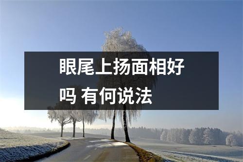 <h3>眼尾上扬面相好吗有何说法