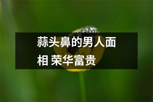 蒜头鼻的男人面相荣华富贵