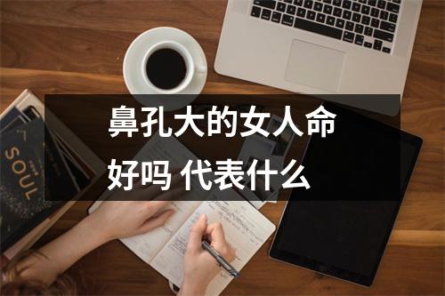 <h3>鼻孔大的女人命好吗代表什么