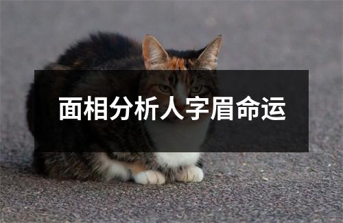 <h3>面相分析人字眉命运