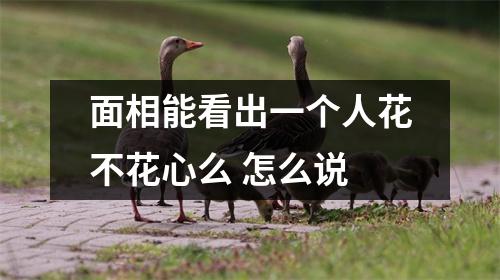 面相能看出一个人花不花心么怎么说