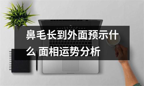 鼻毛长到外面预示什么面相运势分析