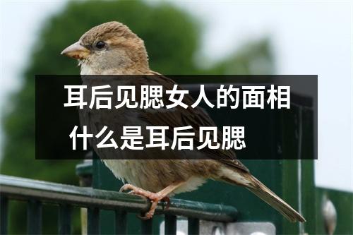 耳后见腮女人的面相什么是耳后见腮
