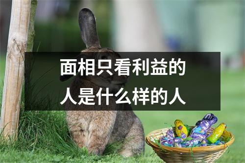<h3>面相只看利益的人是什么样的人