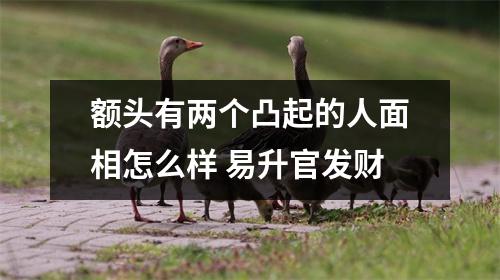 额头有两个凸起的人面相怎么样易升官发财