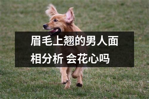<h3>眉毛上翘的男人面相分析会花心吗