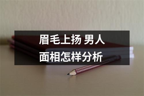 眉毛上扬男人面相怎样分析