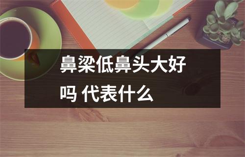 <h3>鼻梁低鼻头大好吗代表什么