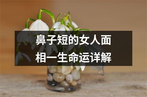 鼻子短的女人面相一生命运详解