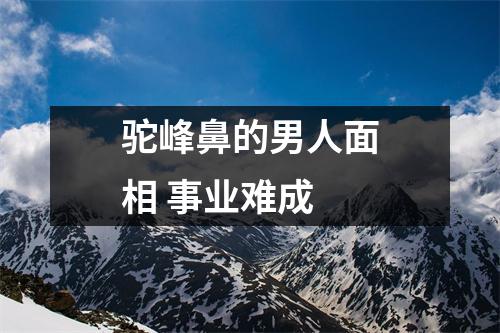 驼峰鼻的男人面相事业难成