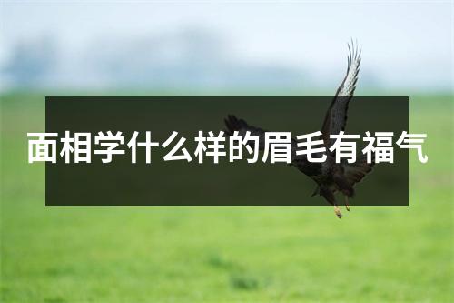 面相学什么样的眉毛有福气