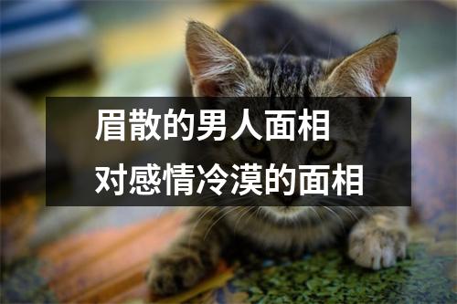眉散的男人面相对感情冷漠的面相