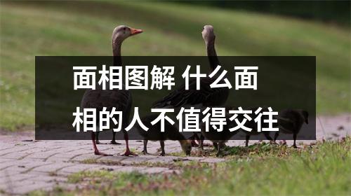 面相图解什么面相的人不值得交往