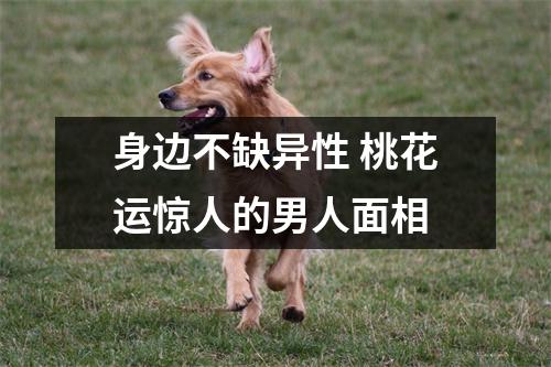<h3>身边不缺异性桃花运惊人的男人面相