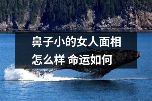 鼻子小的女人面相怎么样命运如何