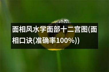 面相风水学面部十二宫图(面相口诀(准确率100%))