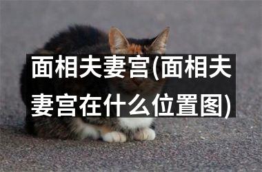 面相夫妻宫(面相夫妻宫在什么位置图)
