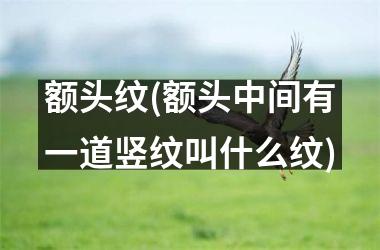 <h3>额头纹(额头中间有一道竖纹叫什么纹)