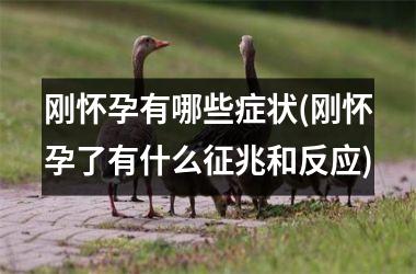 刚怀孕有哪些症状(刚怀孕了有什么征兆和反应)
