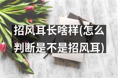 招风耳长啥样(怎么判断是不是招风耳)