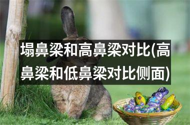<h3>塌鼻梁和高鼻梁对比(高鼻梁和低鼻梁对比侧面)