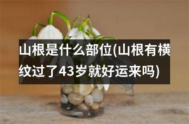 <h3>山根是什么部位(山根有横纹过了43岁就好运来吗)