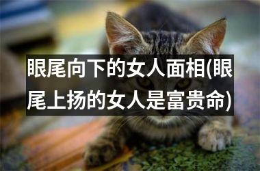 眼尾向下的女人面相(眼尾上扬的女人是富贵命)