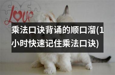 乘法口诀背诵的顺口溜(1小时快速记住乘法口诀)