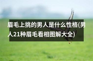 眉毛上挑的男人是什么性格(男人21种眉毛看相图解大全)
